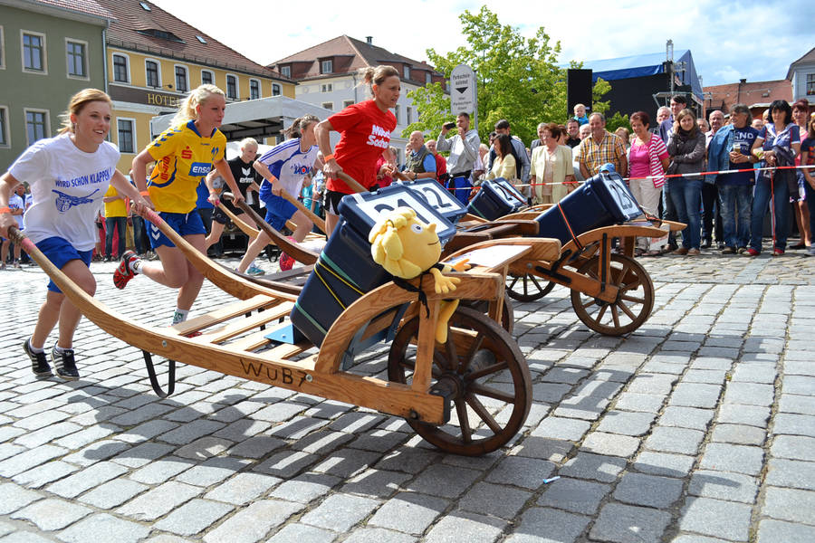 Schiebock Wettrennen